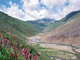 08 Wildflowers Frame The Road With Lake Lulusar In Kaghan Valley